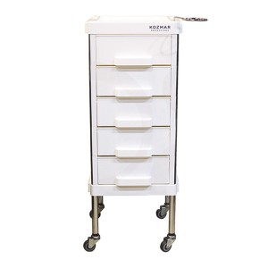 AX-1501 Paint and Service Carrier